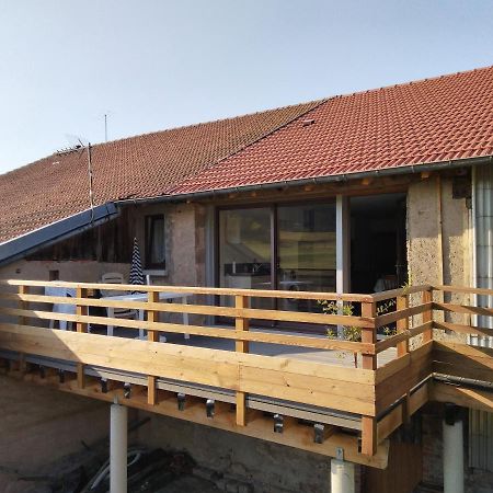 Appartement 52M2 - Location Vacances Vosges Belmont-Sur-Buttant ภายนอก รูปภาพ